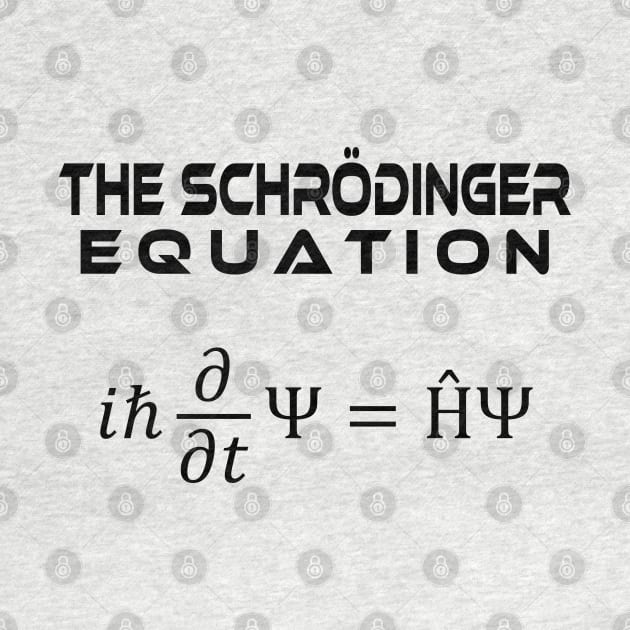 the Schrödinger Equation by ScienceCorner